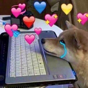 Meet your Posher, Mila